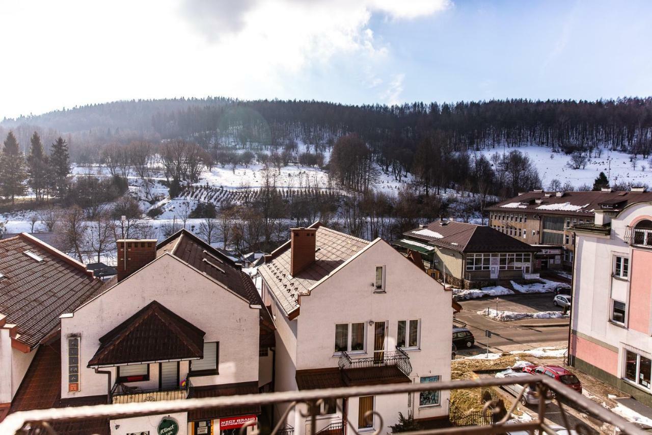 Apartament Lania Frania Ustrzyki Dolne Dış mekan fotoğraf